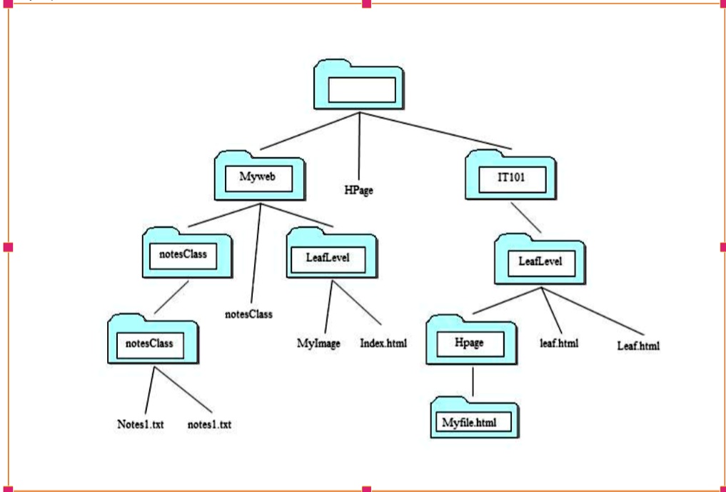 SOLVED: On the drawing, label the root directory and a parent directory ...