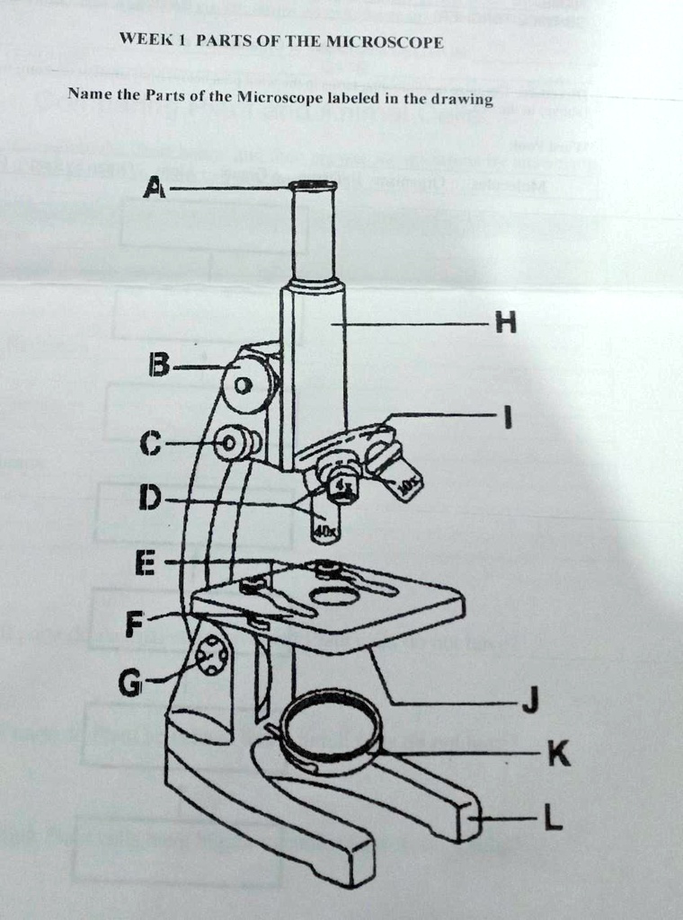 SOLVED: Parts of the Microscope Week Parts of the Microscope Name the ...