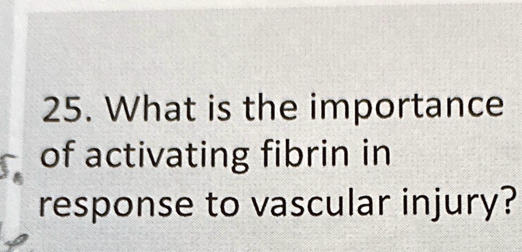 25. What is the importance of activating fibrin in response to vascular injury?