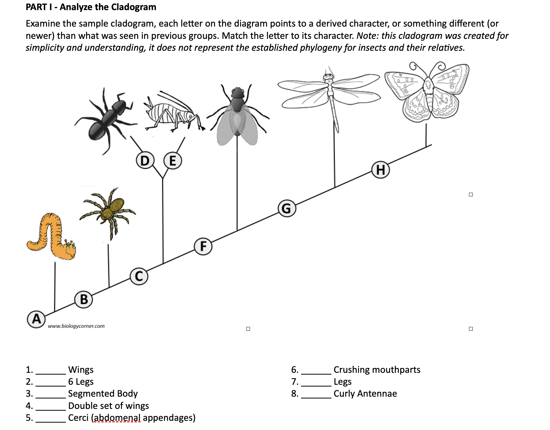 SOLVED PART I Analyze the Cladogram Examine the sample cladogram