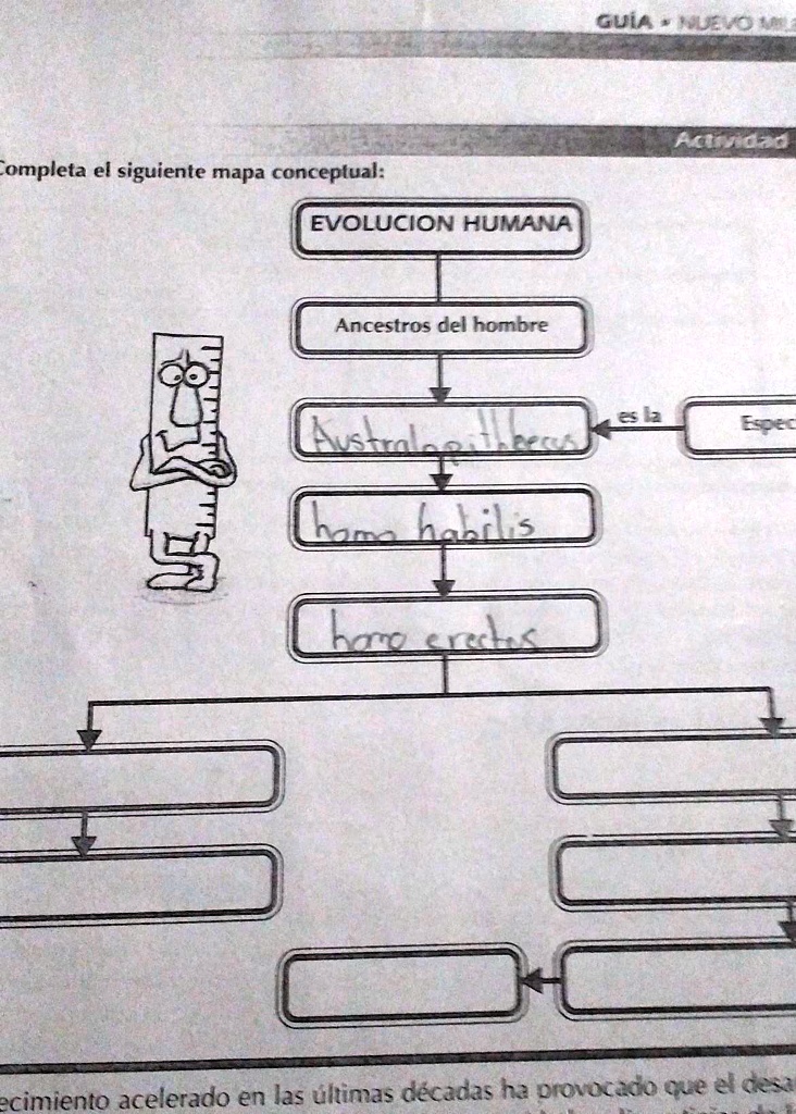SOLVED: mapa conceptual de la evolución humana e imagen Guia PUo Aarog
