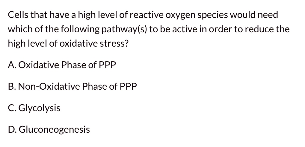 Cells that have a high level of reactive oxygen species would need which of the following pathway(s) to be active in order to reduce the high level of oxidative stress?

A. Oxidative Phase of PPP

B. Non-Oxidative Phase of PPP

C. Glycolysis

D. Gluconeogenesis