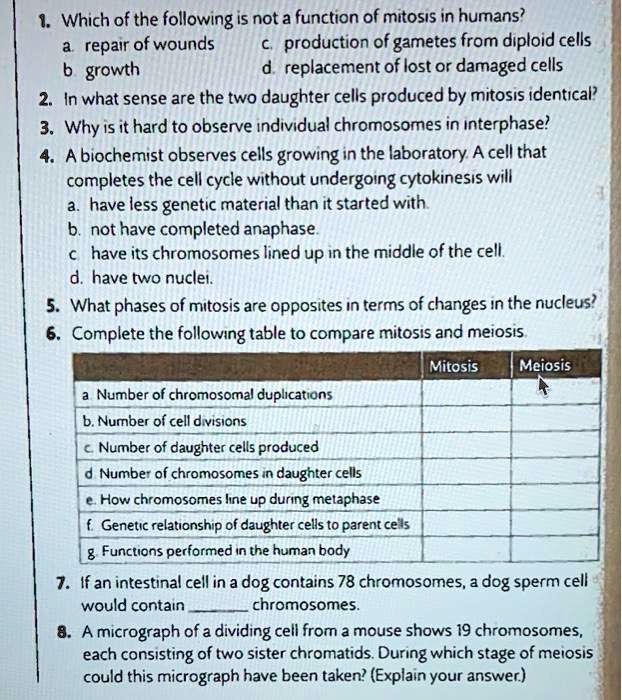 SOLVED 1. Which of the following is not a function of mitosis in