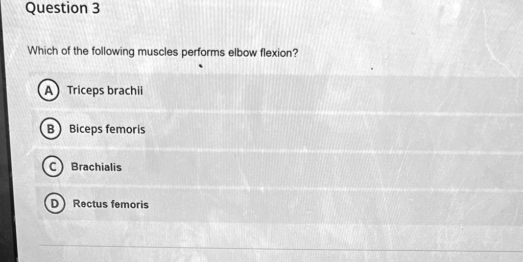SOLVED 'Question 3 Which of the following muscles performs elbow