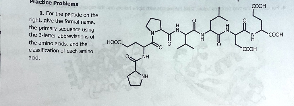 SOLVED: practice Problems 1. For the peptide on the right; give the ...