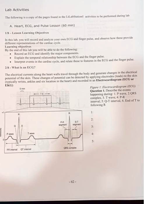lab activitles the folloving copy othe fgc found t llaksptunt ctlt 6 ...
