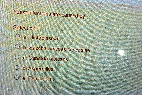 SOLVED: Yeast infections are caused by Select one Histoplasma