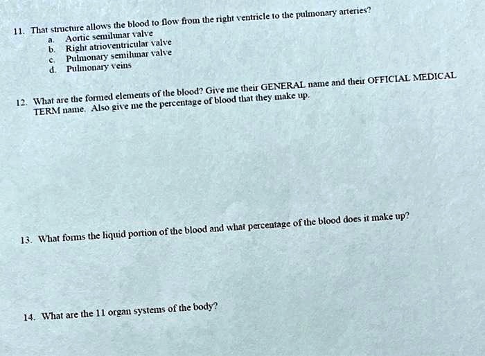 SOLVED 11. Which structure allows the blood to flow from the right