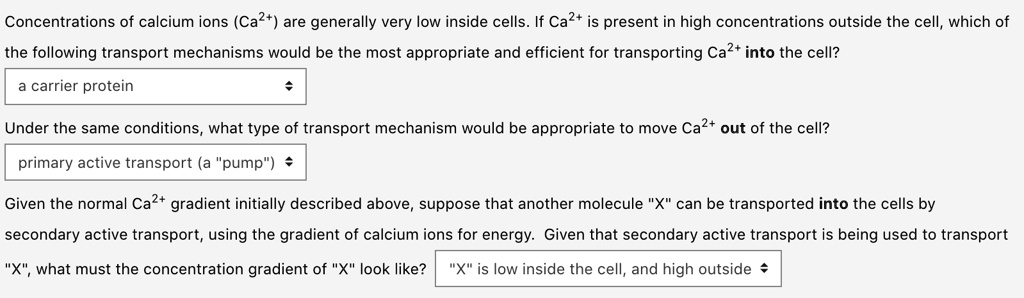 Concentrations of calcium ions (Ca2+) are generally very low inside cells. If Ca2+ is present in high concentrations outside the cell, which of the following transport mechanisms would be the most appropriate and efficient for transporting Ca2+ into the cell?
a carrier protein
Under the same conditions, what type of transport mechanism would be appropriate to move Ca2+ out of the cell?
primary active transport (a "pump")
Given the normal Ca2+ gradient initially described above, suppose that another molecule "X" can be transported into the cells by secondary active transport, using the gradient of calcium ions for energy. Given that secondary active transport is being used to transport "X", what must the concentration gradient of "X" look like? "X" is low inside the cell, and high outside