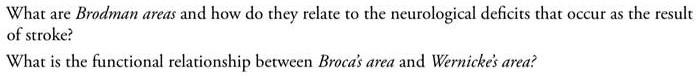 What are Brodman areas and how do they relate to the neurological deficits that occur as the result of stroke?
What is the functional relationship between Broca's area and Wernicke's area?