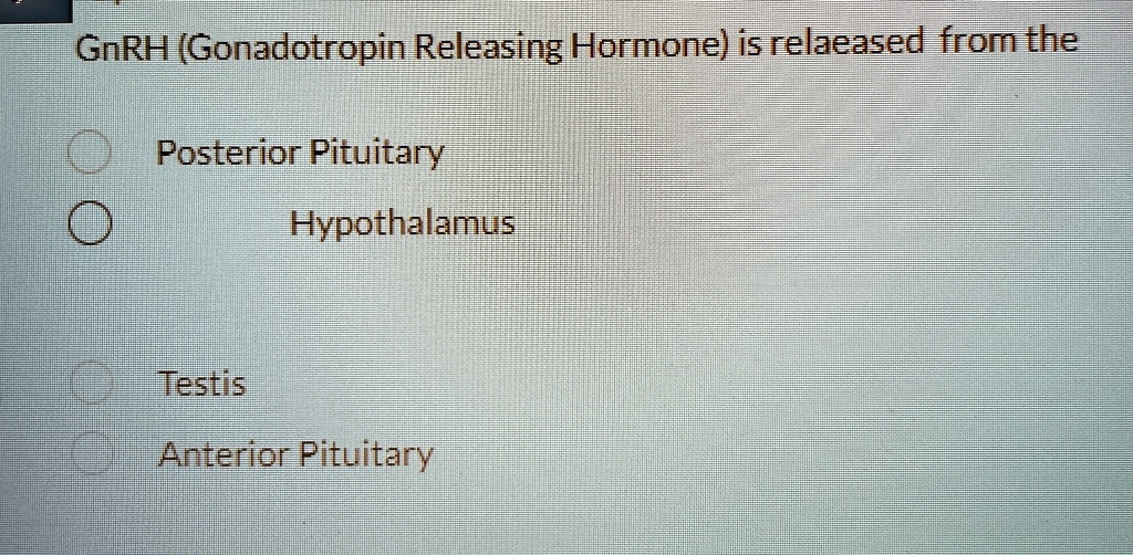 GnRH (Gonadotropin Releasing Hormone) is relaeased from the
Posterior Pituitary
Hypothalamus
Testis
Anterior Pituitary