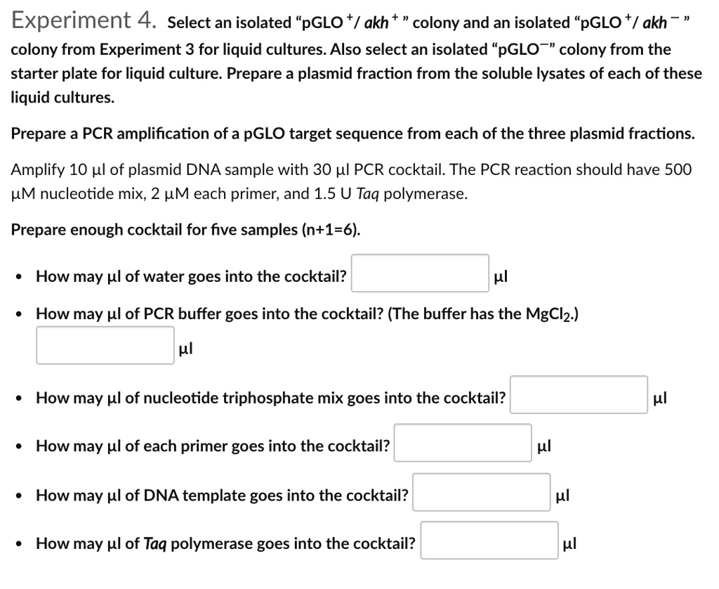 Solved Experiment 4 Select An Isolated Pglo Akh Colony And An Isolated Pglo Akh 