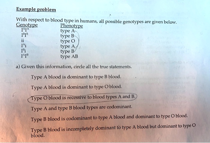 blood type essay