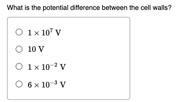 what is the potential difference between the cell walls 1 times 107 v 10 v 1 times 10 2 v 6 times 10 3 v 00625