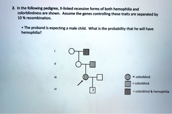 SOLVED: 2. In the following pedigree, X-linked recessive forms of both ...