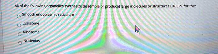 All of the following organelles synthesize (assemble or produce) large molecules or structures EXCEPT for the:
Smooth endoplasmic reticulum
Lysosome
Ribosome
Nucleolus