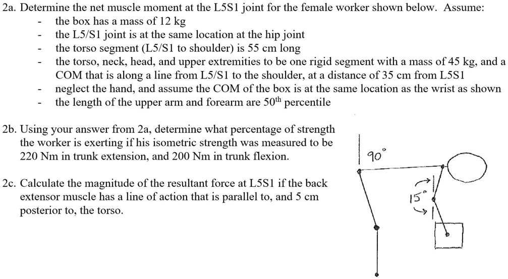 SOLVED: For a 50th percentile female, the following apply: - Length of ...