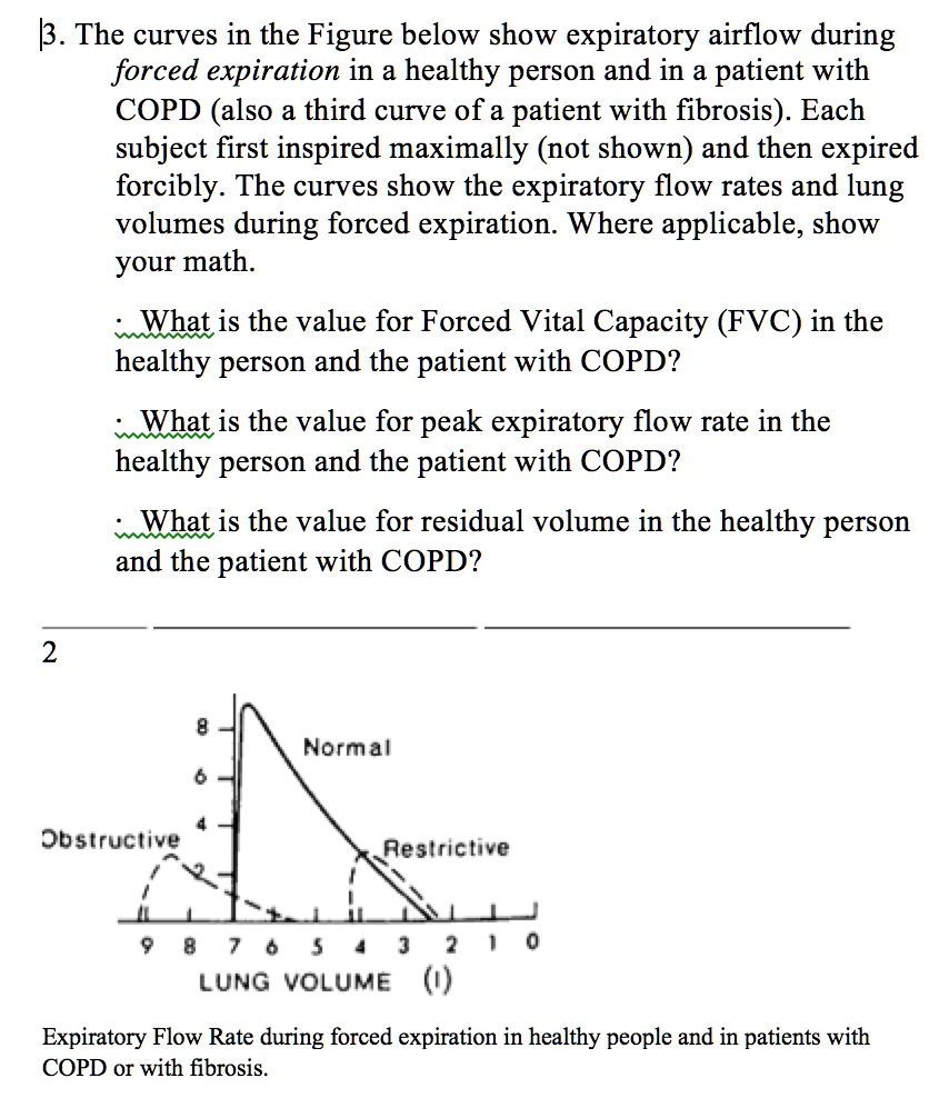 SOLVED: 3. The curves in the Figure below show expiratory airflow ...