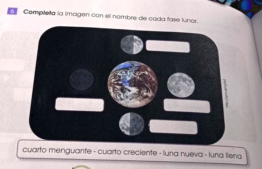 SOLVED: Completa la imagen con el nombre de cada fase lunar. cuarto