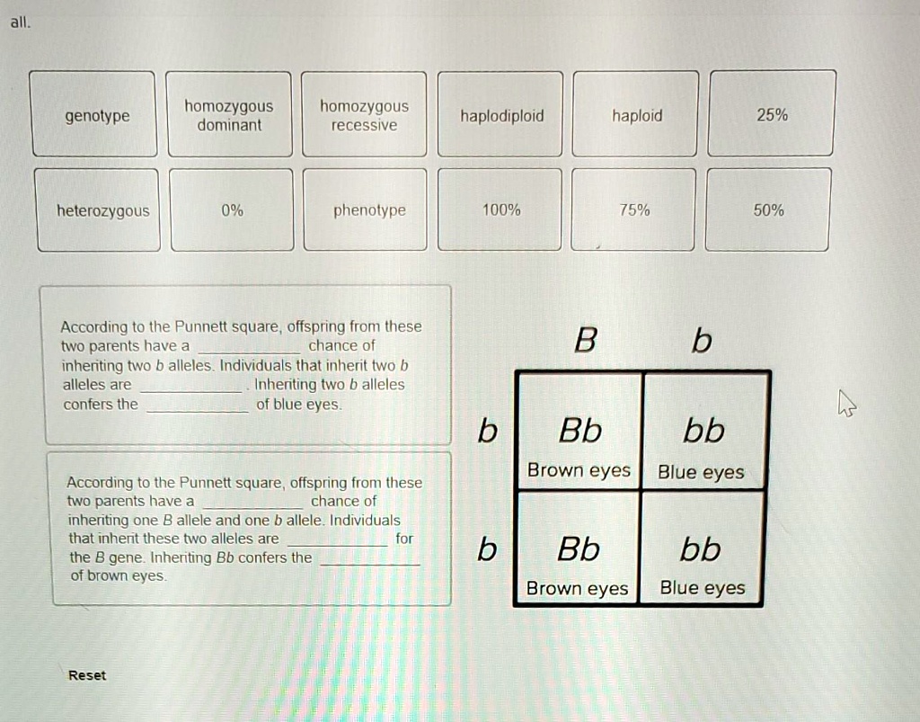 SOLVED: All. Homozygous Dominant Homozygous Recessive Genotype Haplodiploid Haploid 25% ...