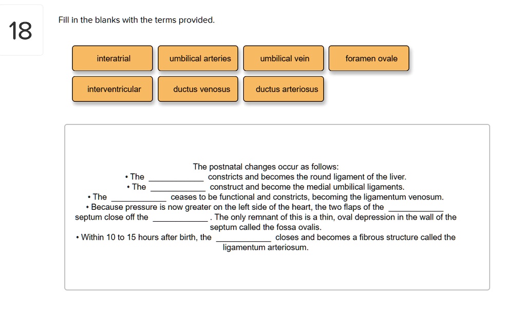 Solved: The Postnatal Changes Occur As Follows: The Ductus Venosus 