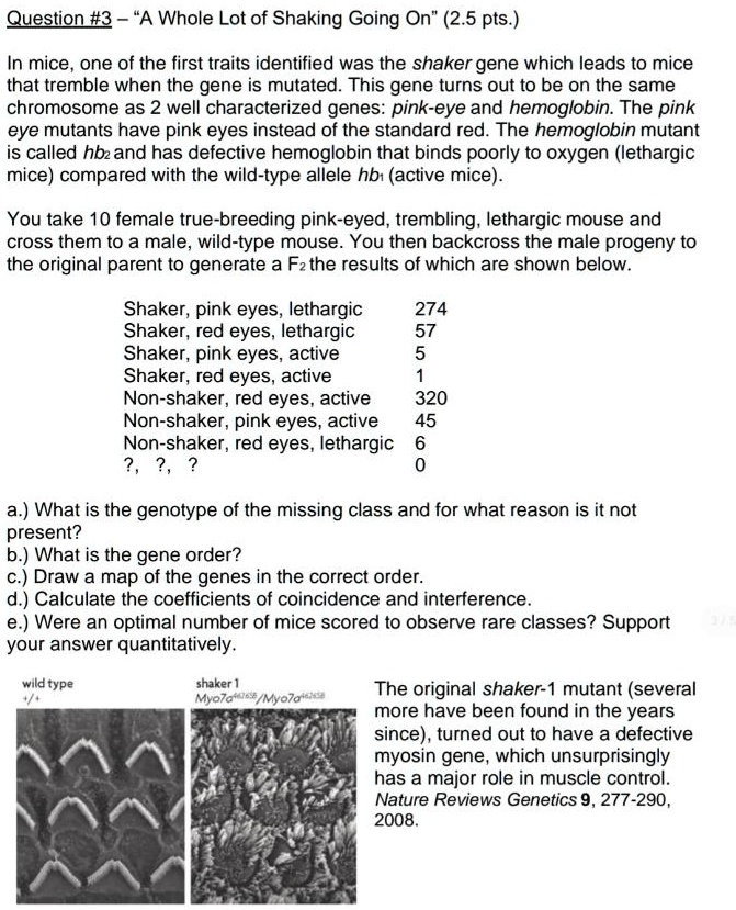 SOLVED Text Question 3 "A Whole Lot of Shaking Going On" (2.5 pts