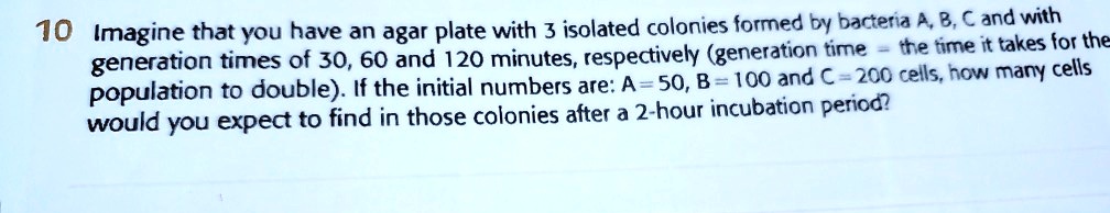 Imagine that you have an agar plate with 3 isolated colonies formed by bacteria A, B, C and with generation times of 30, 60 and 120 minutes, respectively (generation time = the time it takes for the population to double). If the initial numbers are: A = 50, B = 100 and C = 200 cells, how many cells would you expect to find in those colonies after a 2-hour incubation period?