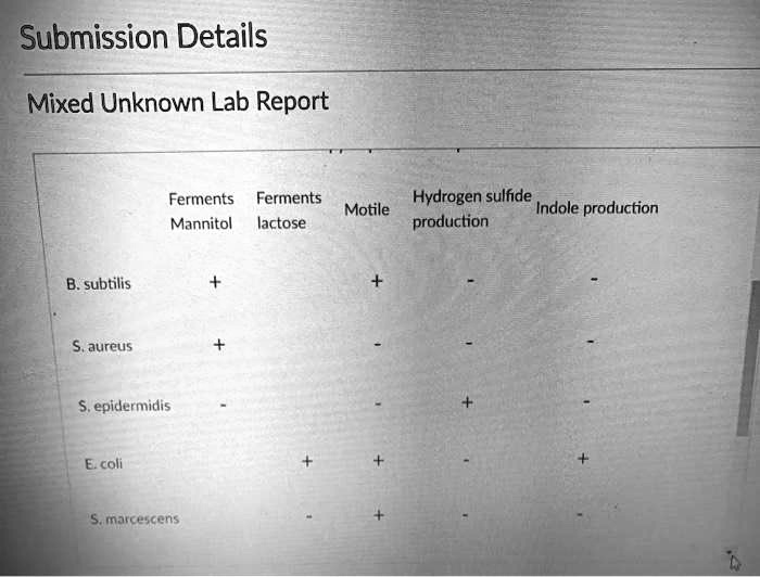 SOLVED: Submission Details Mixed Unknown Lab Report Fermentation Tests ...