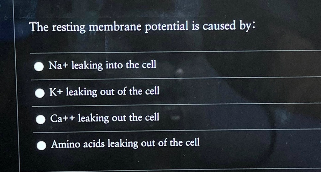 The resting membrane potential is caused by: Na+ leaking into the cell ...