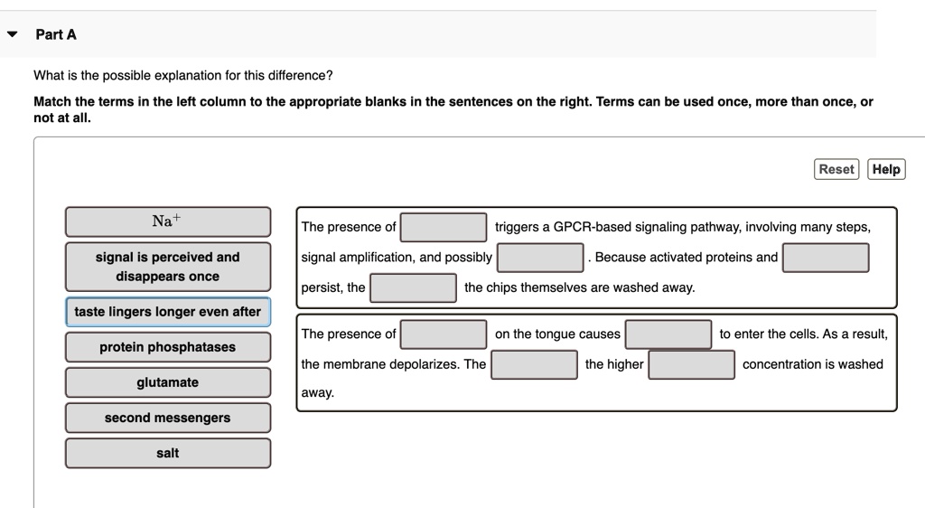 SOLVED What is the possible explanation for this difference? Match the terms in the left column