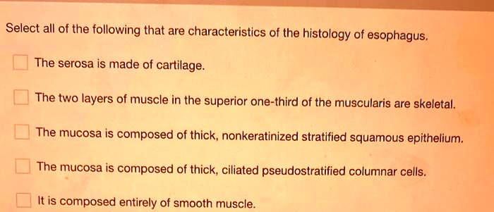 Select all of the following that are characteristics of the histology of esophagus.
The serosa is made of cartilage.
The two layers of muscle in the superior one-third of the muscularis are skeletal.
The mucosa is composed of thick, nonkeratinized stratified squamous epithelium.
The mucosa is composed of thick, ciliated pseudostratified columnar cells.
It is composed entirely of smooth muscle.