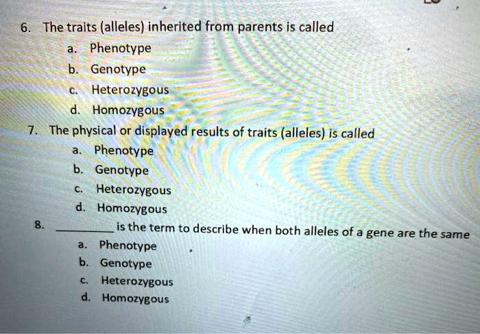 6. The traits (alleles) inherited from parents is called
a. Phenotype
b. Genotype
c. Heterozygous
d. Homozygous
7. The physical or displayed results of traits (alleles) is called
a. Phenotype
b. Genotype
c. Heterozygous
d. Homozygous
8.  is the term to describe when both alleles of a gene are the same
a. Phenotype
b. Genotype
c. Heterozygous
d. Homozygous