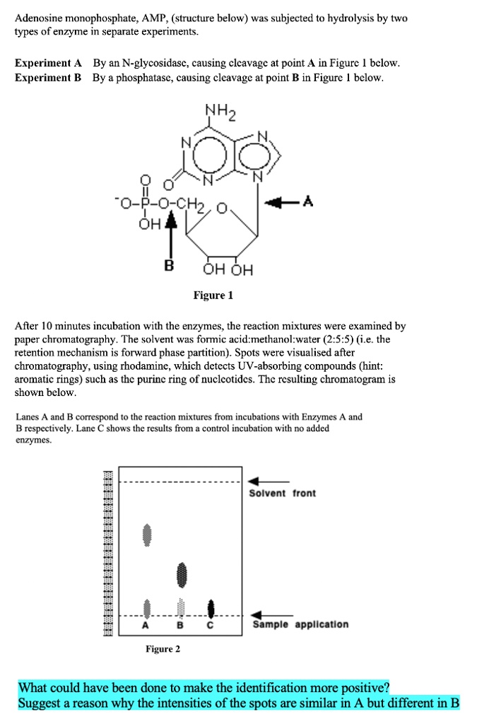 SOLVED: Adenosine monophosphate AMP , (structure below) was subjected ...