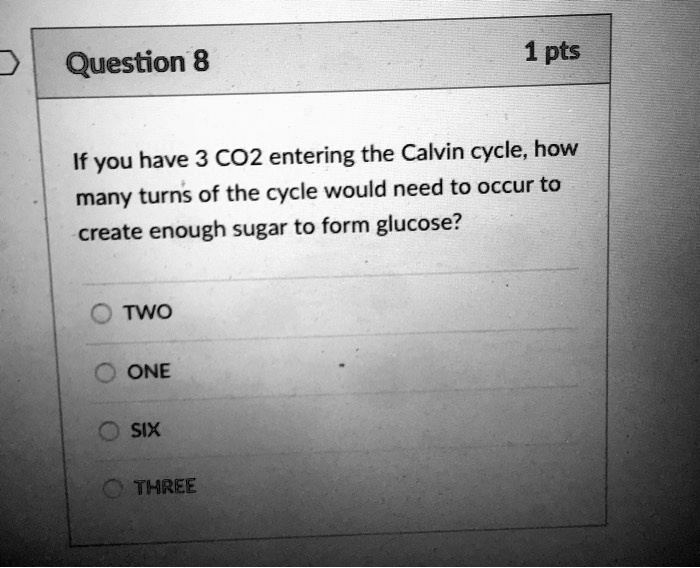 SOLVED: Question 8 1 pts If you have 3 CO2 entering the Calvin cycle