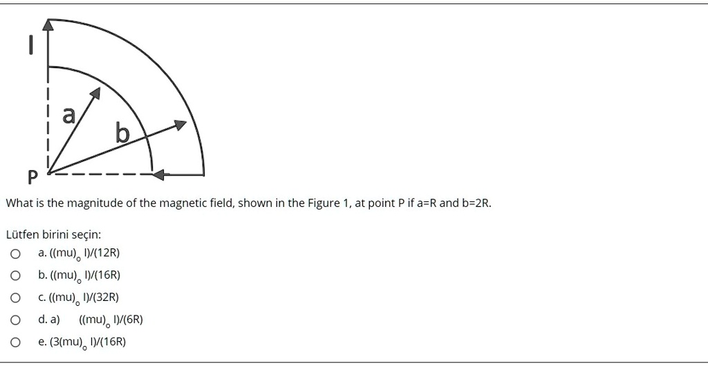 What is the magnitude of the magnetic field, shown in… - SolvedLib