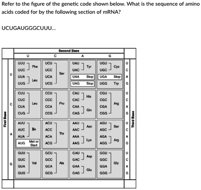 SOLVED Text Refer to the figure of the code shown below What