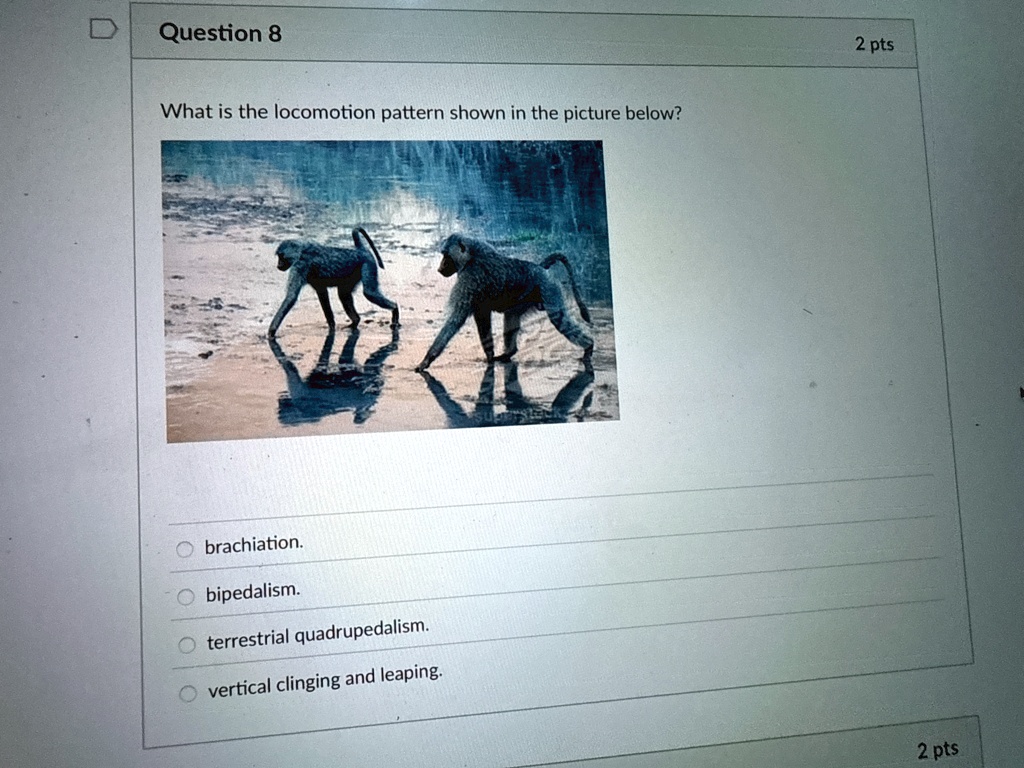 question 8 2 pts what is the locomotion pattern shown in the picture ...