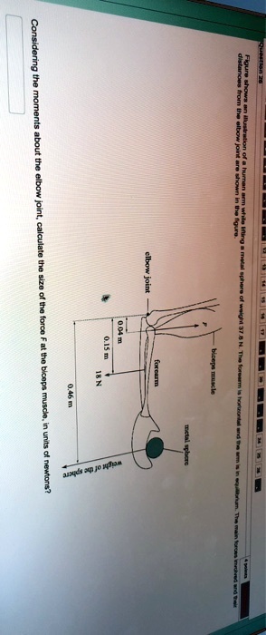 Question 26
Figure shows an illustration of a human arm while lifting a metal sphere of weight 37.8 N. The forearm is horizontal and the arm is in equilibrium. The main forces involved and their
distances from the elbow joint are shown in the figure.
elbow joint
biceps muscle
metal sphere
0.04 m
forearm
0.15 m
18 N
0.46 m
weight of the sphere
Considering the moments about the elbow joint, calculate the size of the force F at the biceps muscle, in units of newtons?