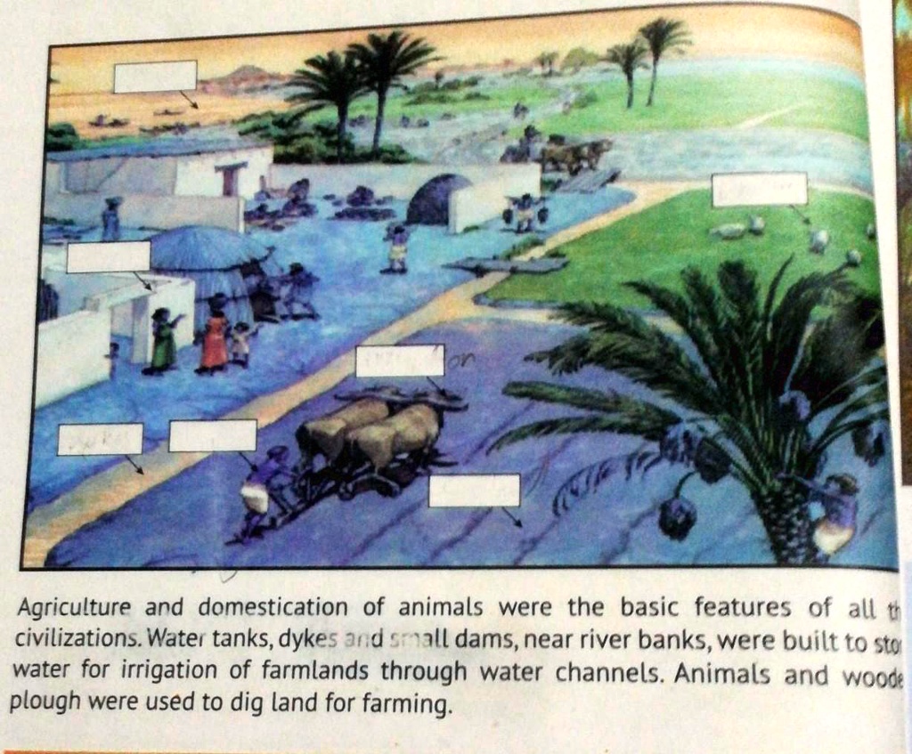 SOLVED 'identify and label 8 features/characteristics of a River