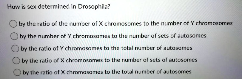 How is sex determined in Drosophila?
by the ratio of the number of X chromosomes to the number of Y chromosomes
by the number of Y chromosomes to the number of sets of autosomes
by the ratio of Y chromosomes to the total number of autosomes
by the ratio of X chromosomes to the number of sets of autosomes
by the ratio of X chromosomes to the total number of autosomes