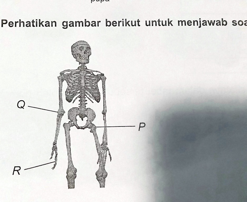 11 Perhatikan Gambar Berikut Arah Gerak Sendi Yang Di