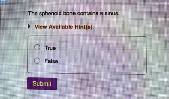 The sphenoid bone contains a sinus.
View Available Hint(s)
True
False
Submit