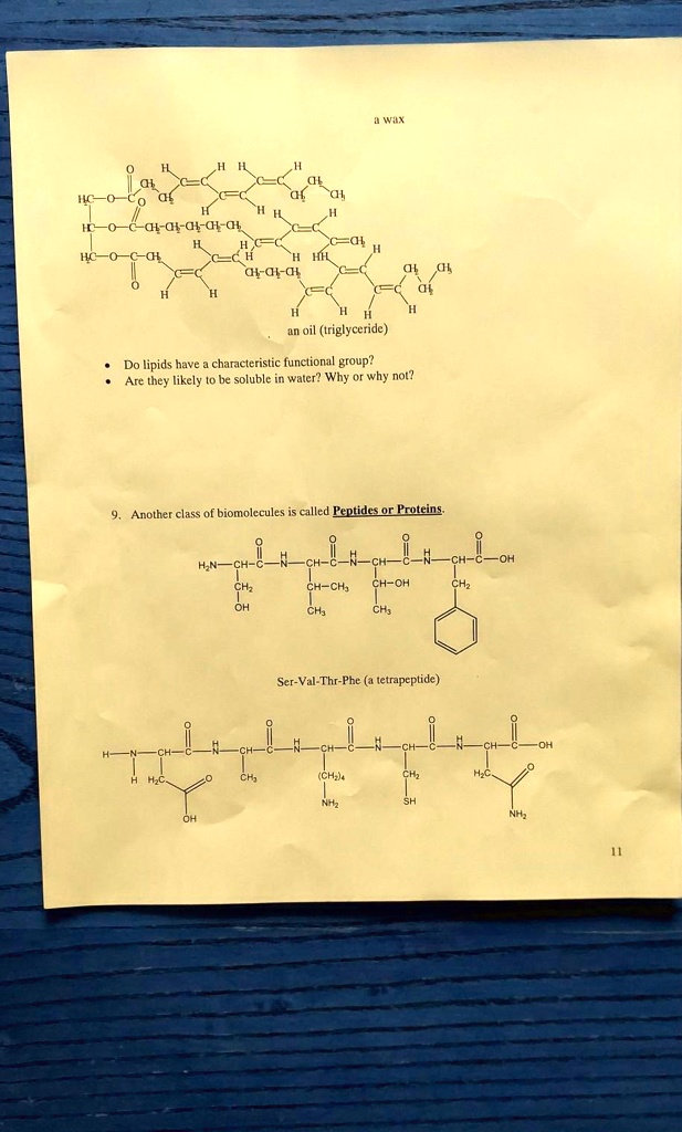 SOLVED Text Î±lalanine C=O Î±lalanine (triglyceride) nave lipids