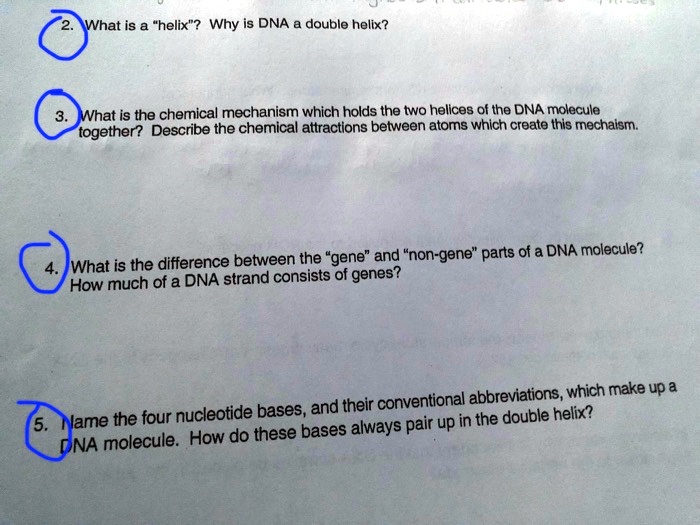 SOLVED What is "helix"? Why is DNA double helix? What is the chemical