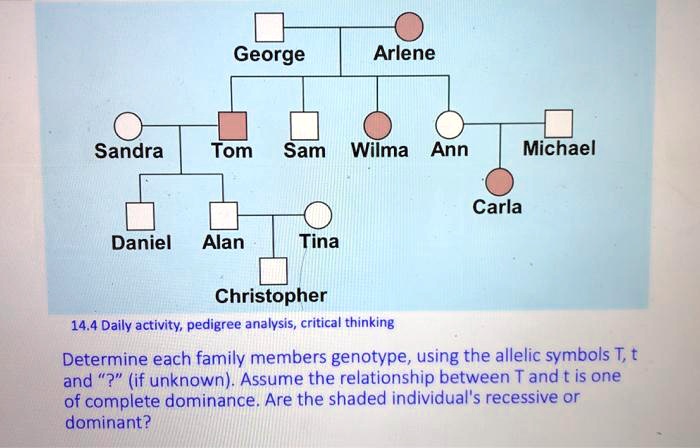 pedigree chart critical thinking