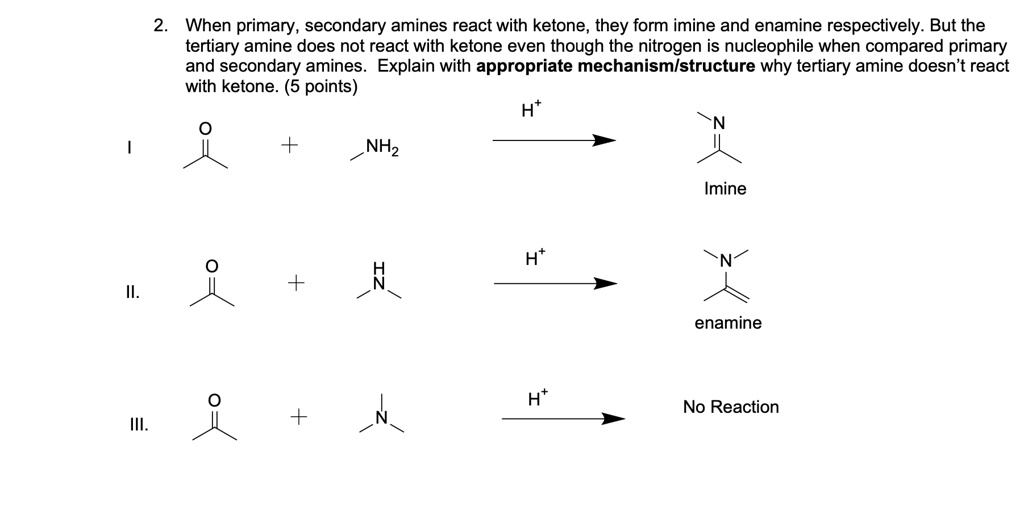 SOLVED: When primary and secondary amines react with a ketone, they ...