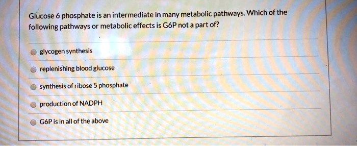 Glucose 6 phosphate is an intermediate in many metabolic pathways. Which of the following pathways or metabolic effects is G6P not a part of?
glycogen synthesis
replenishing blood glucose
synthesis of ribose 5 phosphate
production of NADPH
G6P is in all of the above
