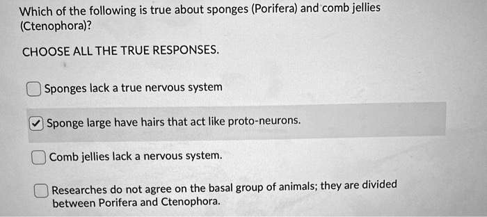 Which of the following is true about sponges (Porifera) and comb jellies
(Ctenophora)?
CHOOSE ALL THE TRUE RESPONSES.
Sponges lack a true nervous system
Sponge larvae have hairs that act like proto-neurons.
Comb jellies lack a nervous system.
Researchers do not agree on the basal group of animals; they are divided
between Porifera and Ctenophora.