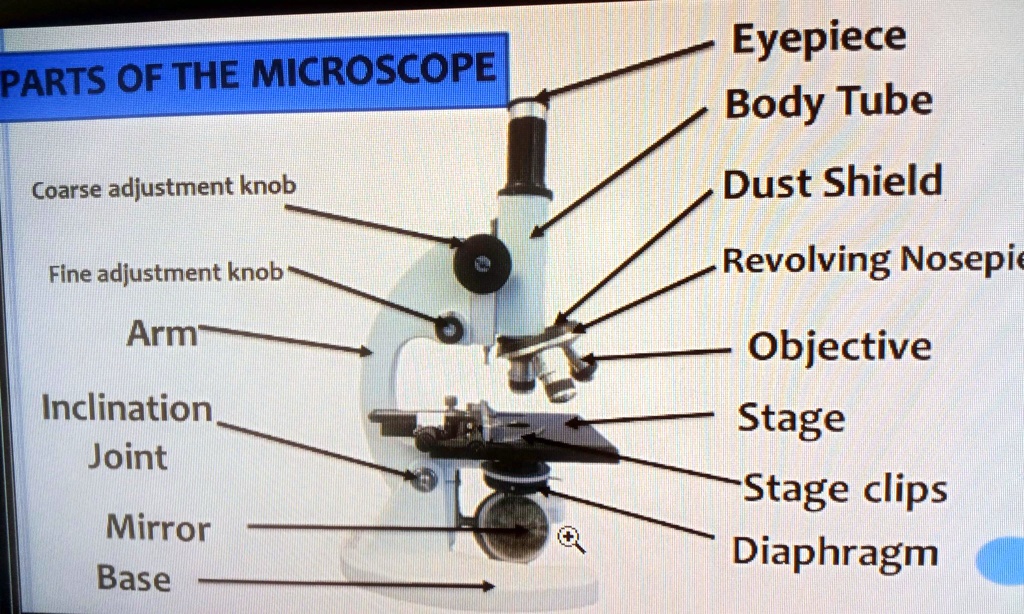 SOLVED Learning Resource 1.2 Summary of the Parts of the Compound