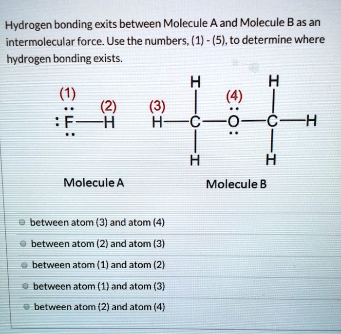 SOLVED: Hydrogen bonding exits between Molecule A and Molecule B as an ...
